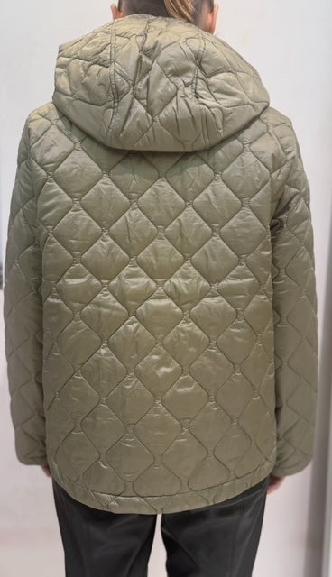 EMME MARELLA 1 fleur